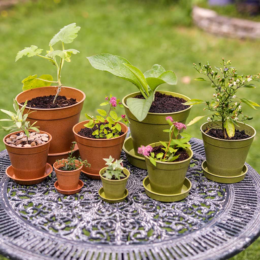 Haxnicks - Bamboo Pots and Saucers