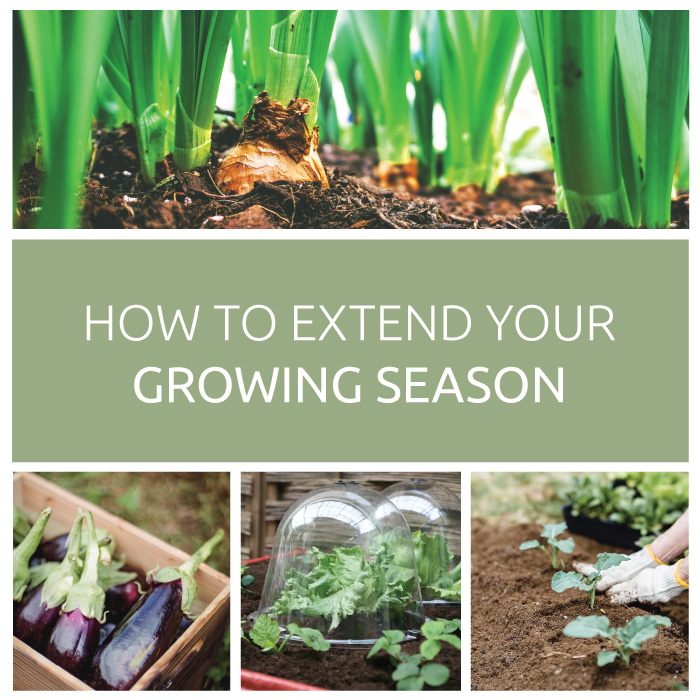 How to get a longer growing season