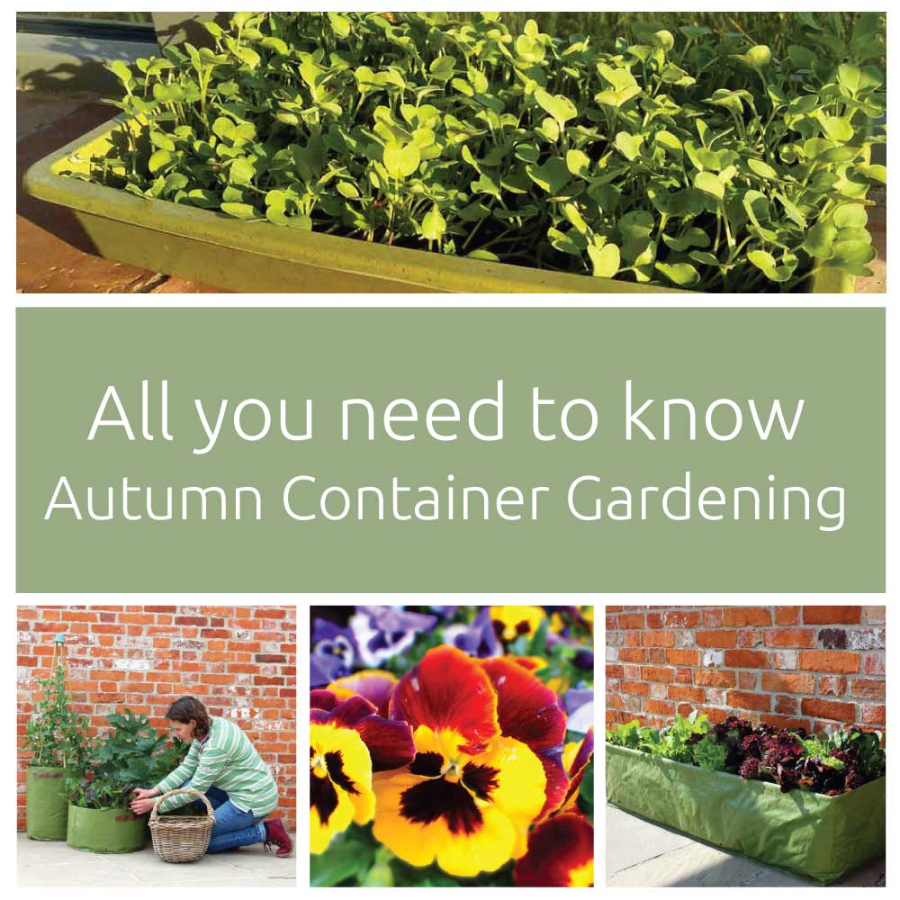 Haxnicks - All you need to know about Autumn Container Gardening