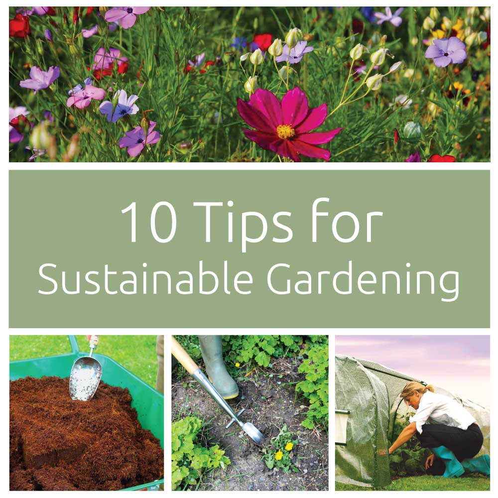 10 Tips for Sustainable Gardening