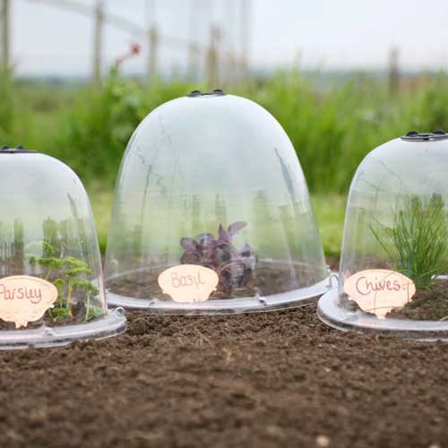 Victorian Bell Garden Cloches