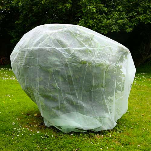 Fruit Tree Protection Net 2m