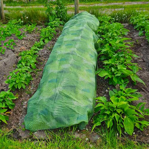 Green Fern Fleece Blanket - Extra Thick