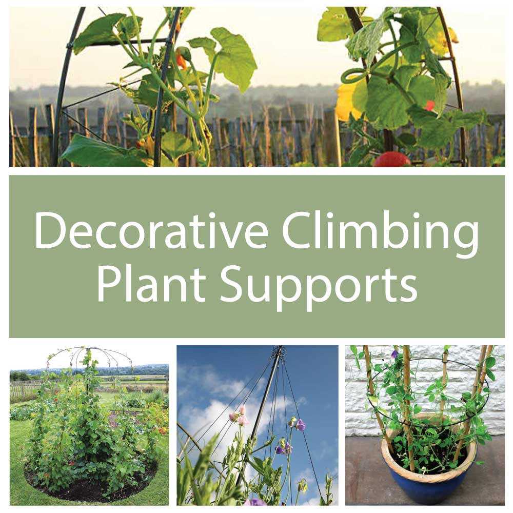 Decorative Climbing Plant Supports