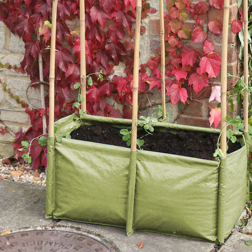 Pea & Bean Patio Planter