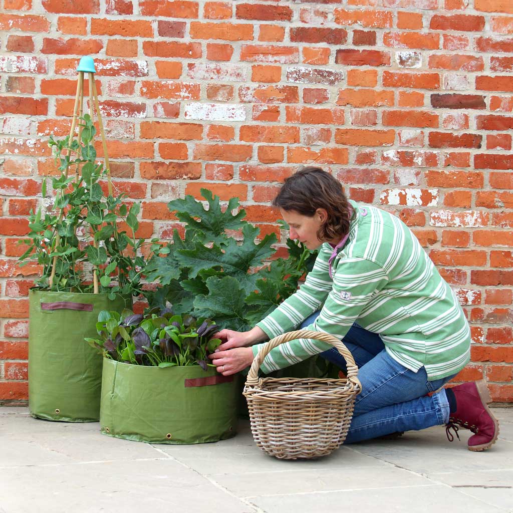 Vegetable Patio Garden Planters