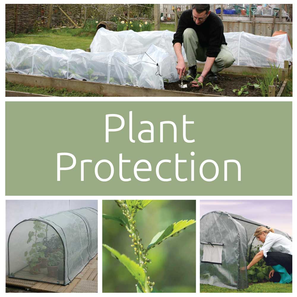 Plant Protection