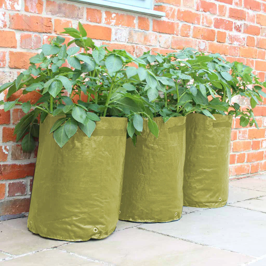 Potato Patio Planter