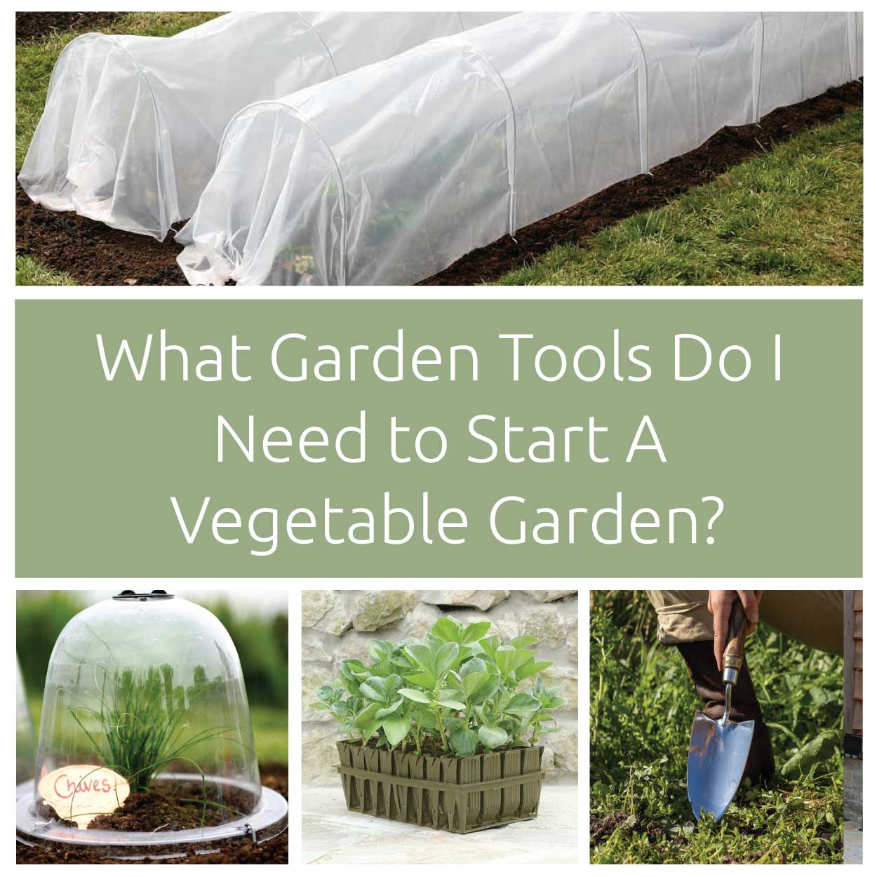 What Garden Tools Do I Need to Start a Vegetable Garden?